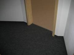 Eiche_3_Schicht_anfang