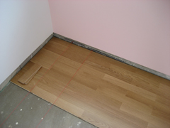 Eiche_3_Schicht_anfang